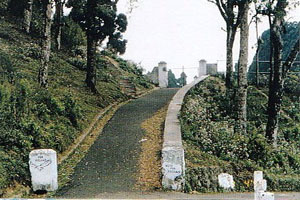 Dow Hill,(Kurseong, West bengal)