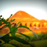 bishnupur-5