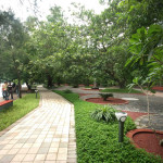 Rabindra Sarobar Kolkata