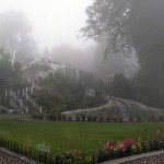 Shrubbery Nightingale Park darjeeling