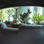 green taxi in kolkata