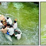 rainy day condition in behala