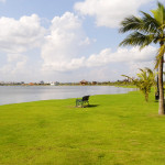 new town eco park