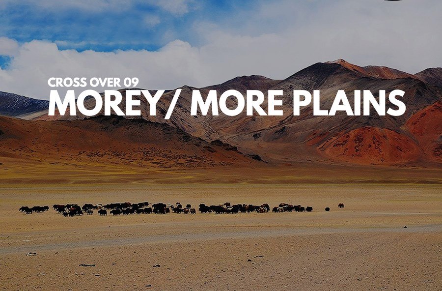 Morey plains