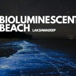 bioluminescent beach lakshawadeep