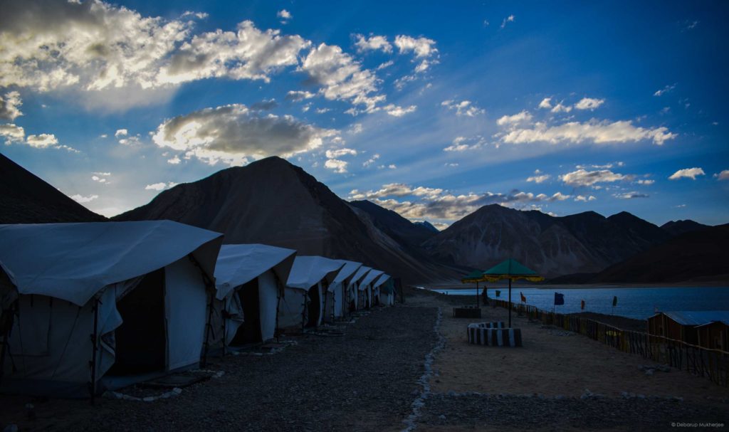 pangong camp stay