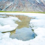 snow field near chang la