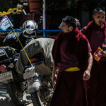 ladakhi lama