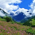 Valley of Flowers
