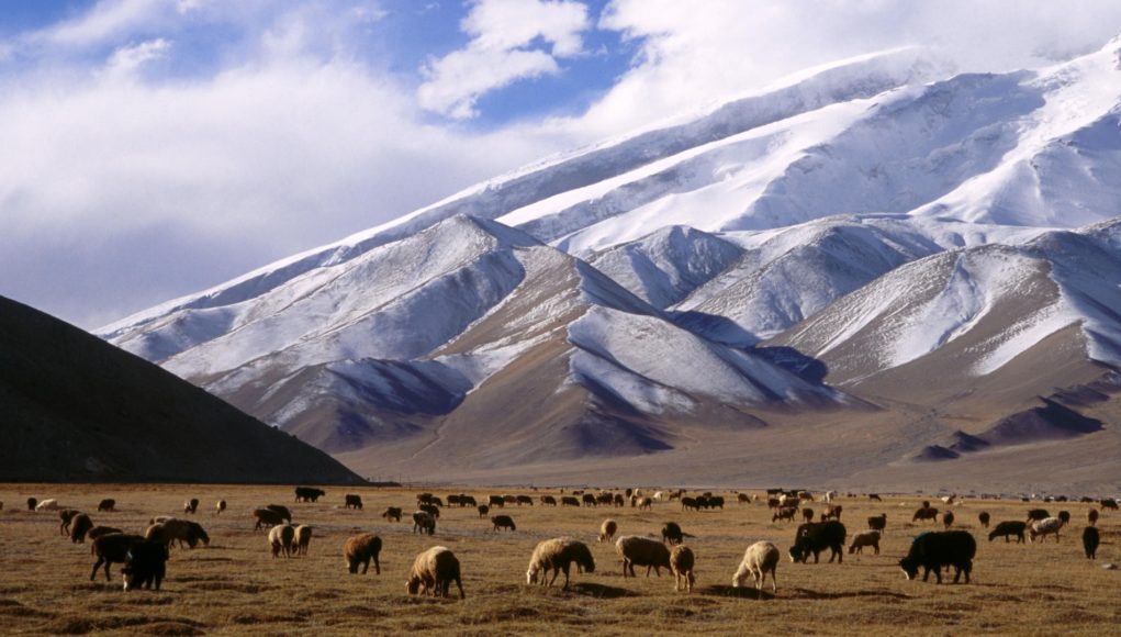 Xinjiang Uyghur Autonomous Region