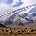 Xinjiang Uyghur Autonomous Region