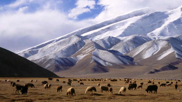 Xinjiang Uyghur Autonomous Region