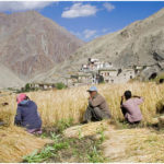 Rumbak village