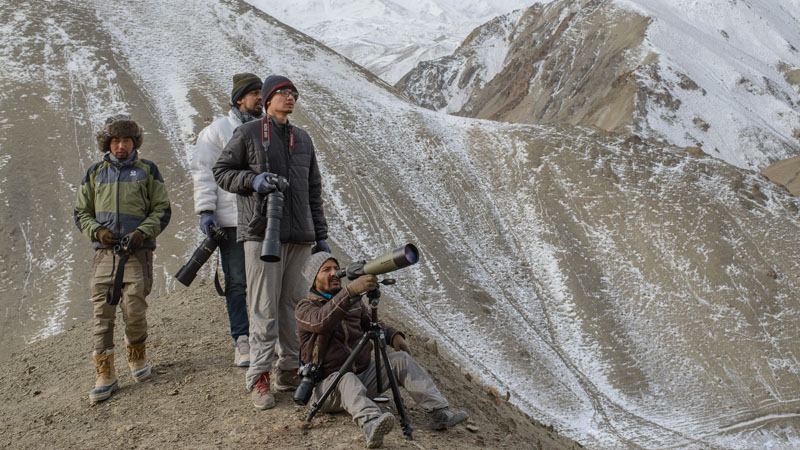 Snow Leopard Trek Ladakh