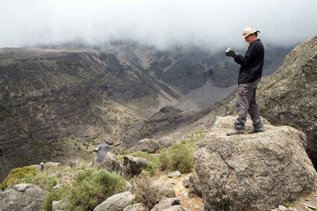 Barranco Camp