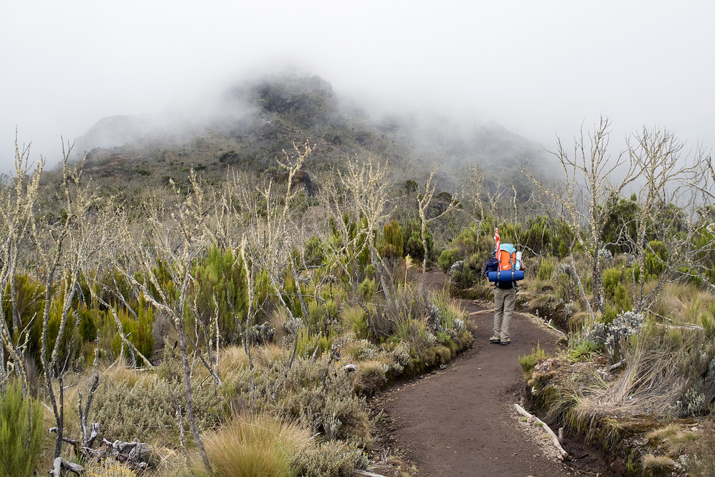 Kilimanjaro Trek