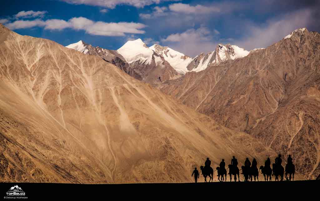 Nubra valley camel ride