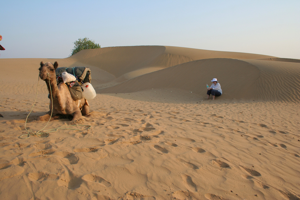 Thar Desert