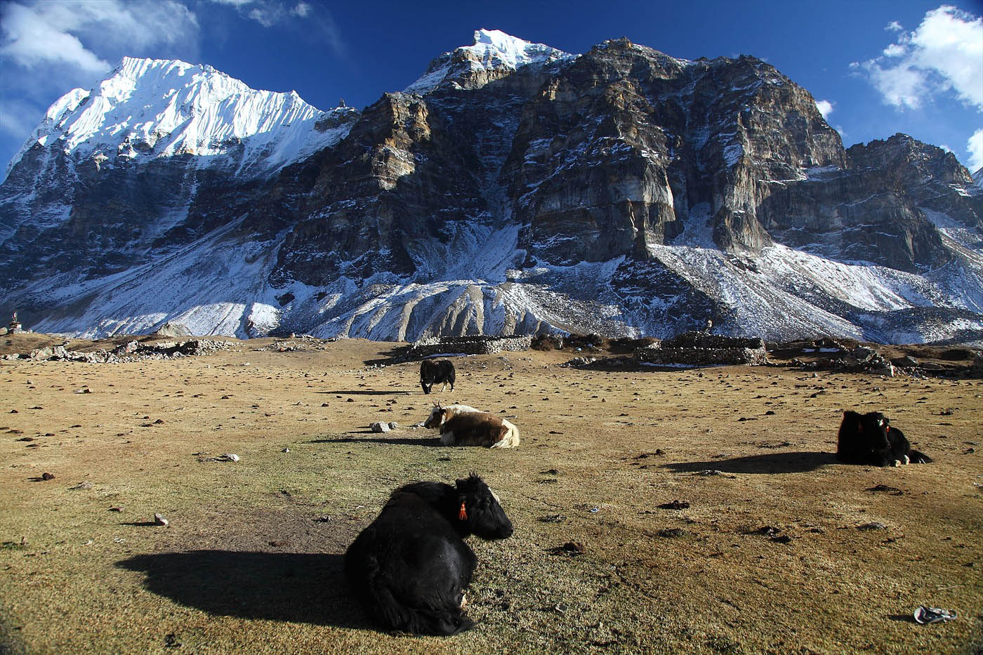 kanchenjunga base camp trek