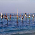 Colombo – Galle – Hambantoda Trek