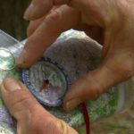 Compass and a Topographic Map