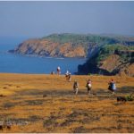 During coastal trekking towards Ratnagiri, Maharashtra