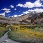 Near Sumdo village, Rupshu Valley, Ladakh, 1995