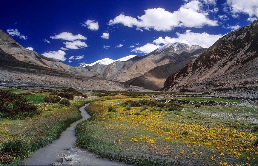 Rupshu Valley, Ladakh, 1995