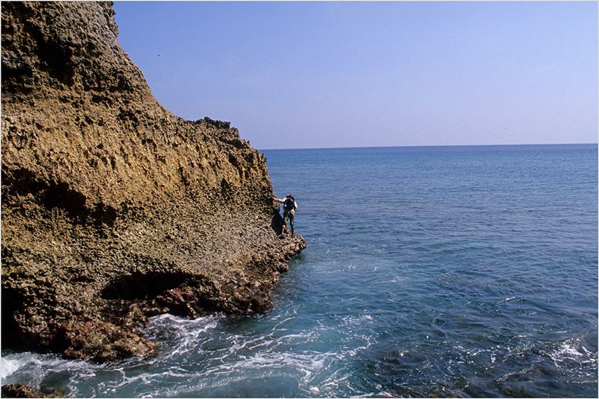 Neil Island, Andaman trek