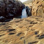 River Kaberi Trek