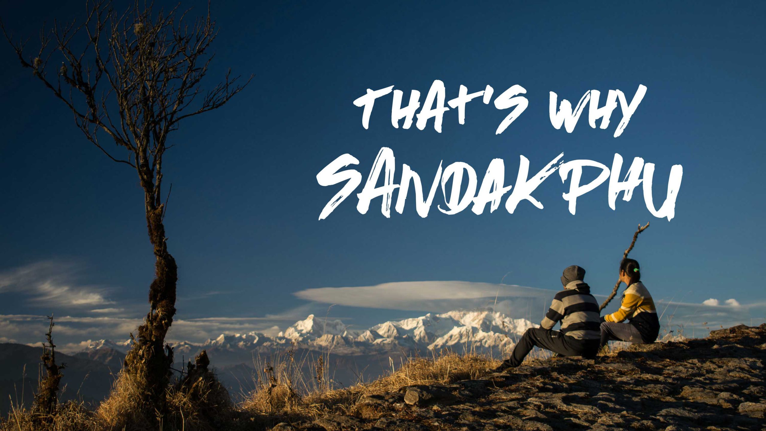 Why Trek to Sandakphu? This Stunning Video Explains All Sandakphu trek video