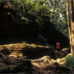 Trek along Bori National Park(Tigar Reserve), Madhya Pradesh
