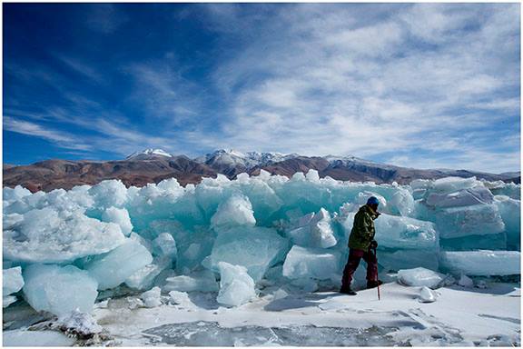 Trek along Frozen Tso Moriri