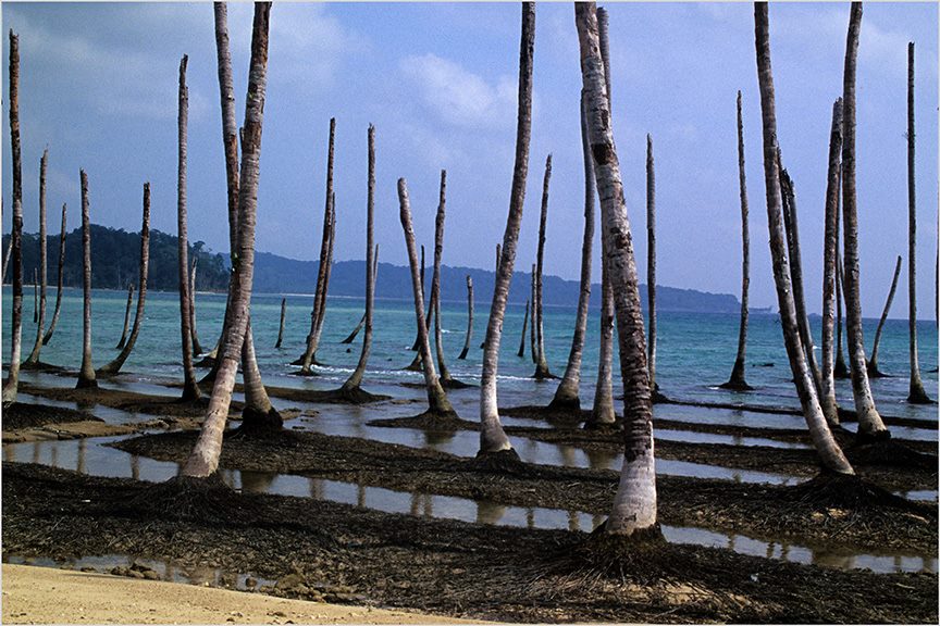 Tsunami trek towards Indira Point