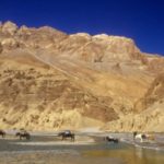 hemis trek
