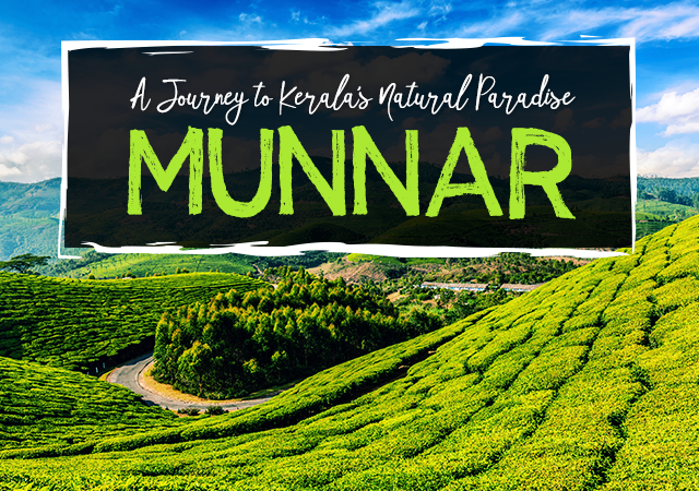 Munnar travelogue