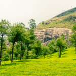 Munnar Photo Point