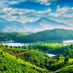 Munnar Top of the mountain