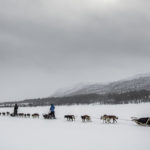 Polar expedition competition