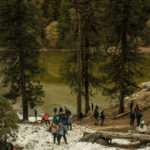 Frozen-Bekaltal