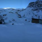 Sichling in Winter