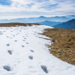Snow-trail-in-Brahmatal