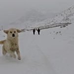 Spiti Winter Adventure
