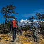 Trek to Brahmatal