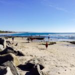 Swаmi state beach