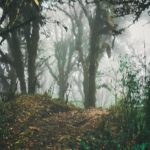 LRM_EXPORT_20180310_213007-01