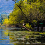 Landscape-wallpaper-32
