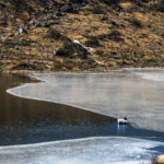 changu lake sikkim