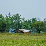 Loiliang village scene