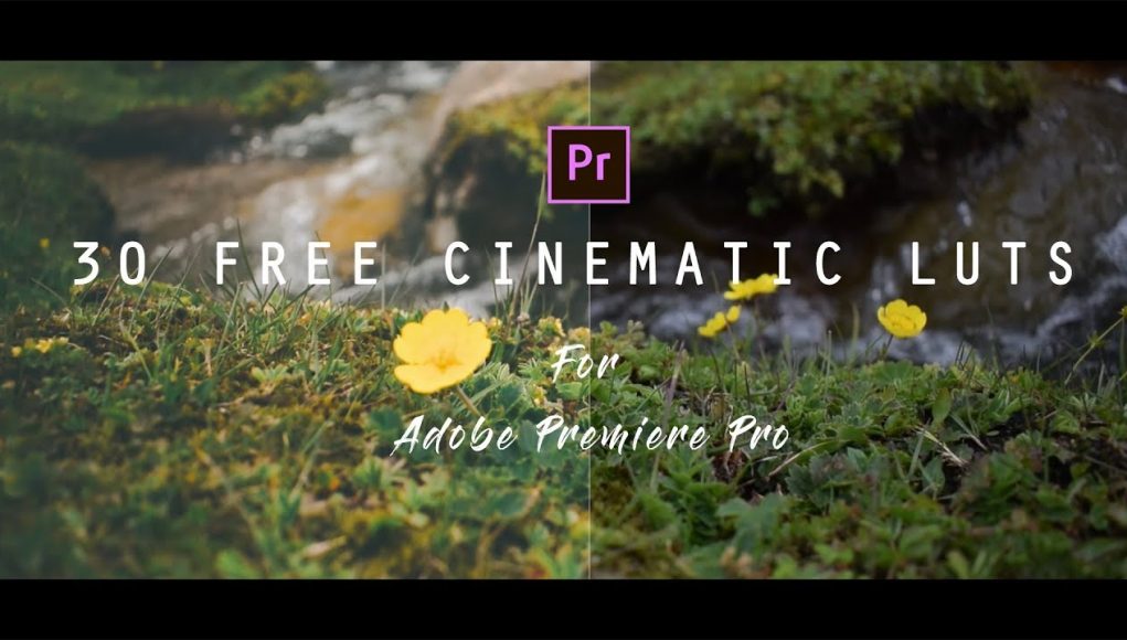 cinematic luts adobe premiere pro